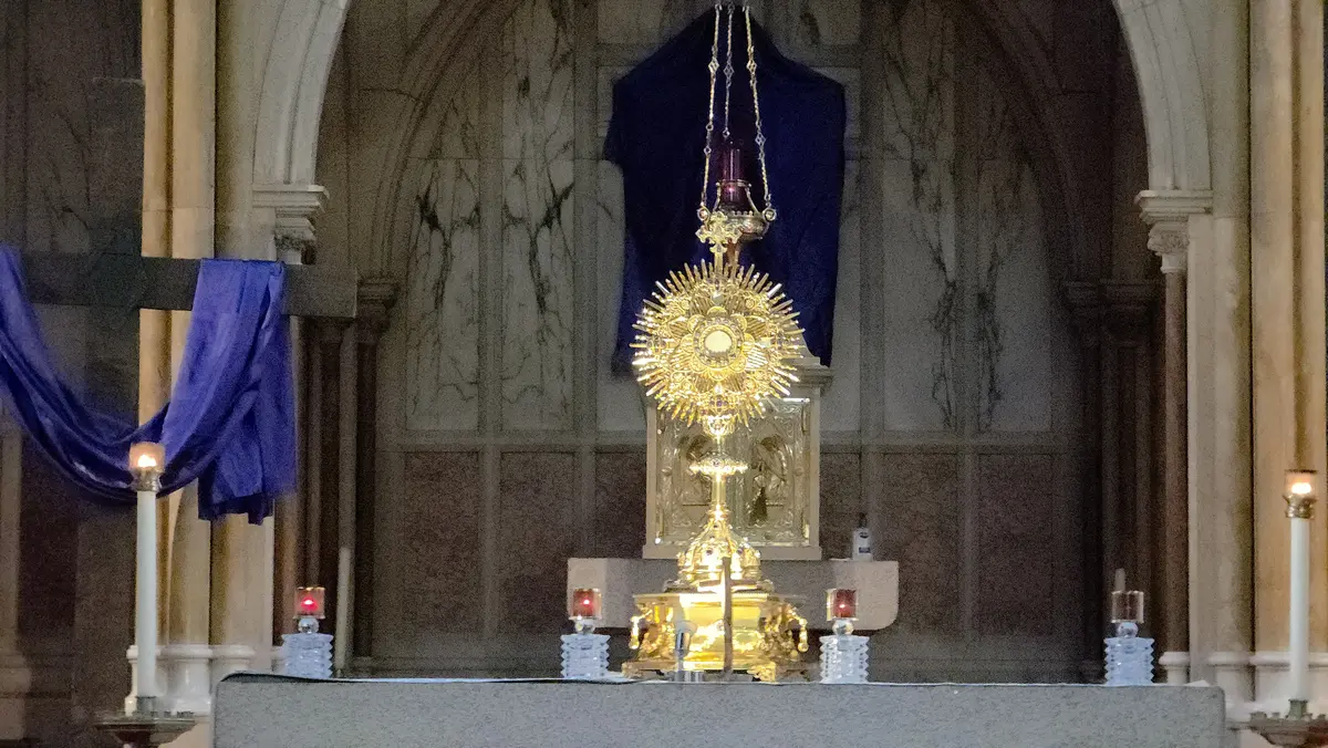 Rediscover the Path 2026